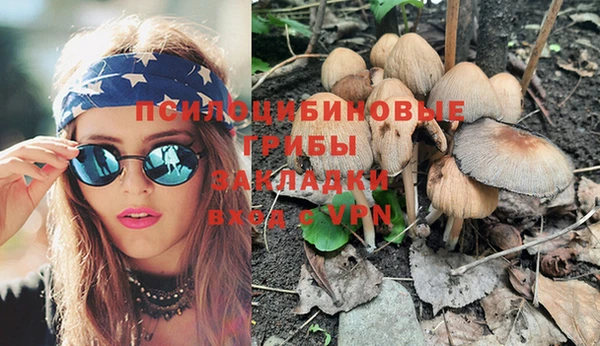 прущие крисы Баксан
