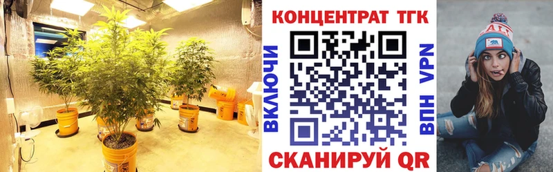 ТГК THC oil  Новокубанск 