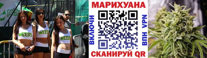 Бошки марихуана планчик  Новокубанск 
